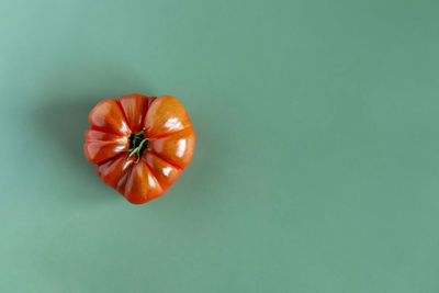 Close-up of tomato against white background