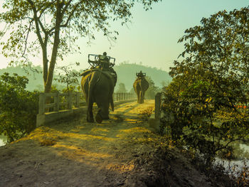 Rear view of people on landscape against sky