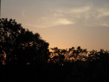 Silhouette trees against sky during sunset