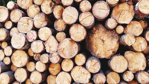 Full frame shot of logs