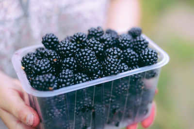 Cropped hands holding blackberries in box