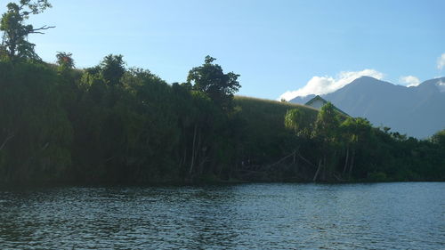 Scenic view of lake by trees against sky