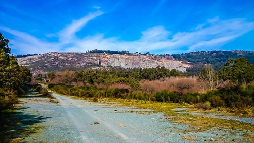 Scenic view of landscape against blue sky