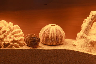 Close-up of sand on beach