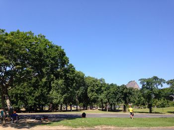 Trees on landscape against clear blue sky