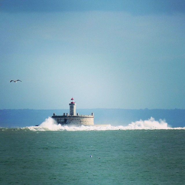 sea, lighthouse, water, horizon over water, guidance, built structure, direction, architecture, building exterior, waterfront, copy space, clear sky, protection, safety, security, bird, blue, nature, scenics, tranquility