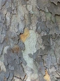 Full frame shot of cracked wall