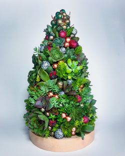 Close-up of christmas decorations over white background