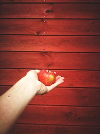 Low angle view of hand holding apple