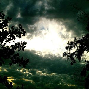 Low angle view of trees against cloudy sky