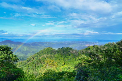 Scenic view of forest against sky