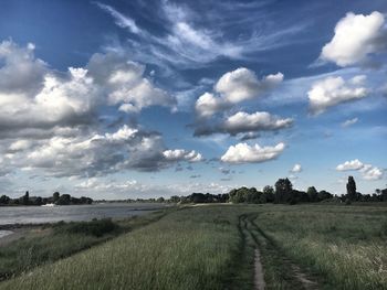 Scenic view of field against sky