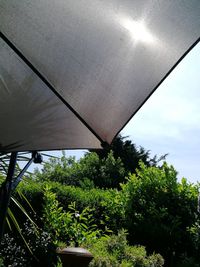 Low angle view of tree against sky
