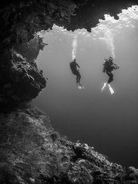 People swimming in sea