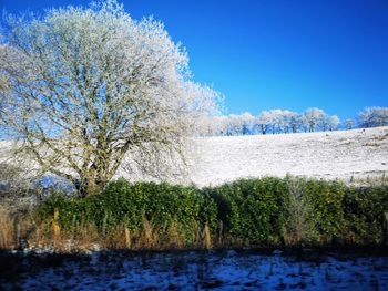 Scenic view of lake against clear blue sky