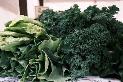 Close-up of broccoli