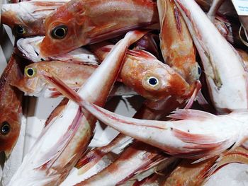 Close-up of fish for sale in market