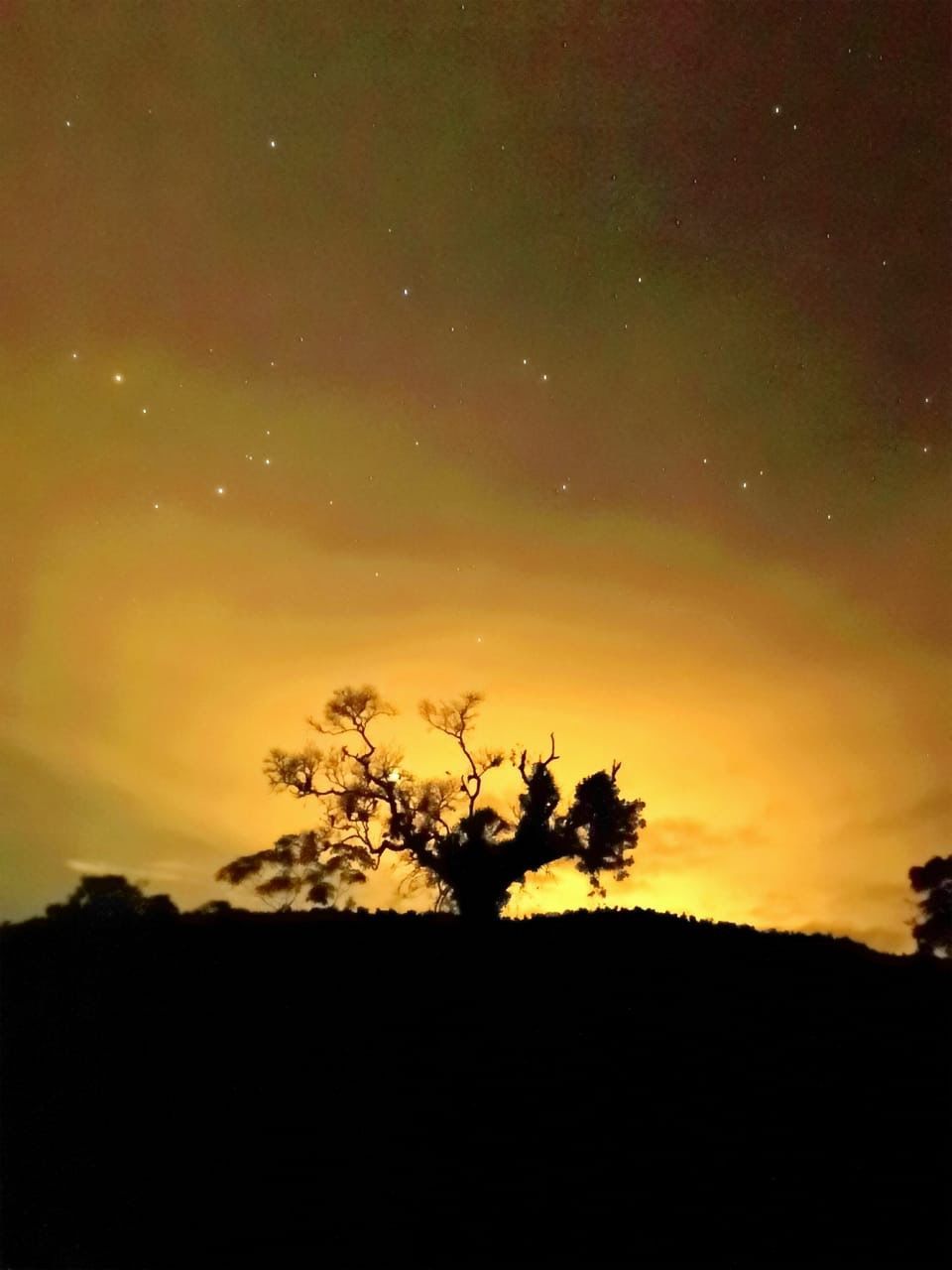 sky, silhouette, scenics - nature, tree, plant, beauty in nature, tranquility, tranquil scene, sunset, idyllic, no people, nature, night, environment, land, landscape, orange color, star - space, field, outdoors