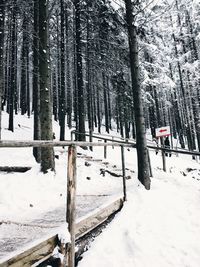 Trees on snow covered landscape