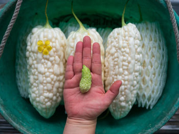 Close-up of hand holding vegetables