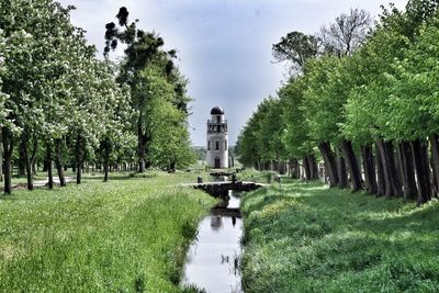 Trees by building in park