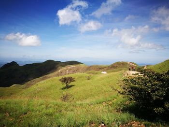 Scenic view of green landscape against sky