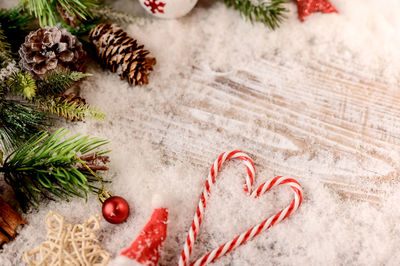 View of christmas tree in snow