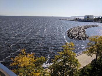 High angle view of plants by sea against clear sky