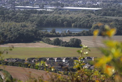 Scenic view of field against trees