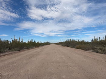 Dirt road amidst plants against sky