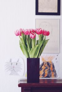 Close-up of pink flowers in vase