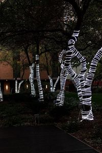 Illuminated lights at night