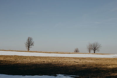 Bare trees on field against sky during winter