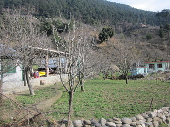 Rear view of woman and plants in farm