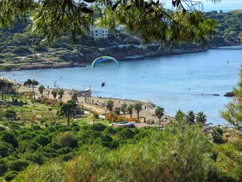 High angle view of sea and trees