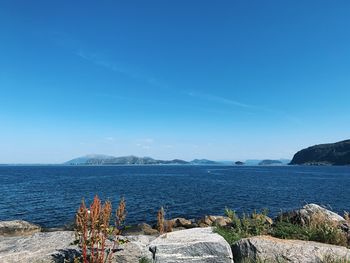 Scenic view of sea against clear blue sky