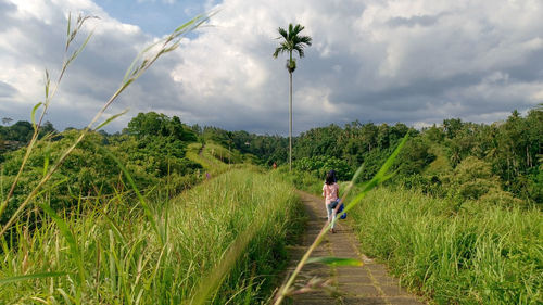 Person amidst plants against sky