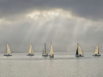 Sailboats sailing in sea against sky