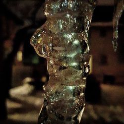 Close up of plant against blurred background