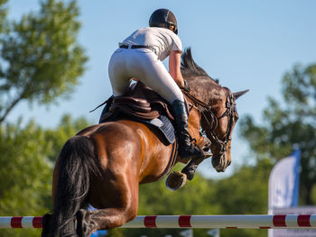 horseback riding