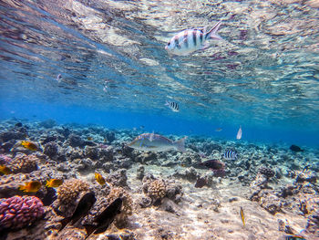 High angle view of sea