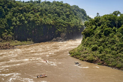 High angle view of river amidst trees