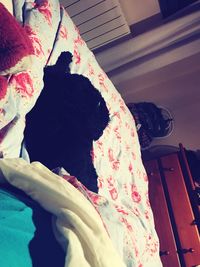 Close-up of dog sitting on bed