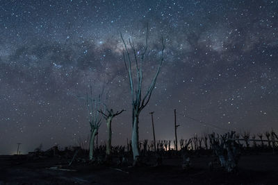 Low angle view of silhouette trees against sky at night