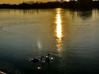 View of ducks swimming in lake at sunset