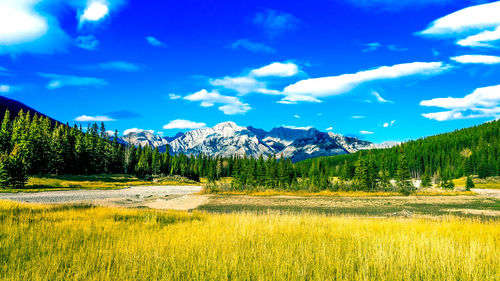 Idyllic shot of green landscape against sky