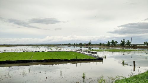 Scenic view of lake against sky