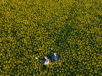 Aerial view of people standing on field