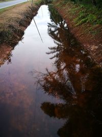 Reflection of tree in lake against sky