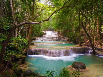 Scenic view of waterfall in forest